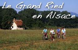 La Grand Ried en Alsace